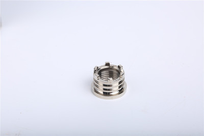 PP-R、PE铜嵌件 (4)